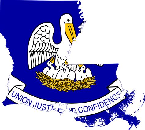 The design on the flag consists of a heraldic image of a mother eastern brown pelican in. Clipart Panda - Free Clipart Images