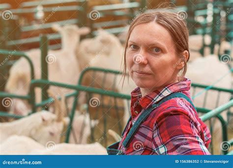 Female Farmer At Goat Raising And Breeding Farm Stock Photo Image Of