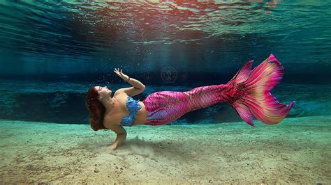 The Mermaid Freedive Retreat Youtube
