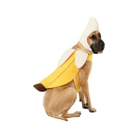 Pet Costume Banana Dog Costume Pet Supplies