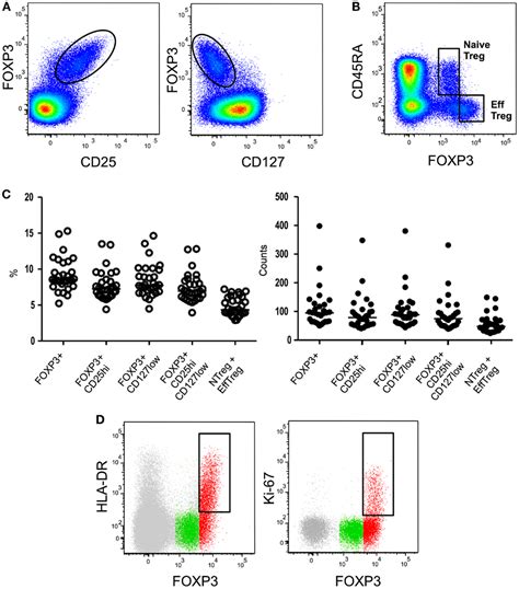 Frontiers CD4 FOXP3 Regulatory T Cell Subsets In Human