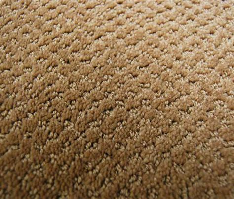 Multi Colored Textured Loop Carpet Cut Loop Carpet Is A Combination