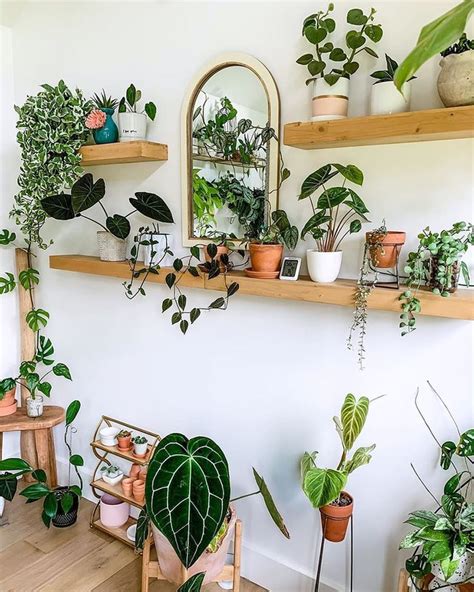 9 Creative Ways Plant Lovers Display Their Greenery — Domino Room
