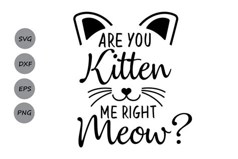 Are you kitten me right meow? SVG, cat svg, kitten svg, Are you kitten