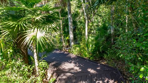 Key West Botanical Garden Turns 85