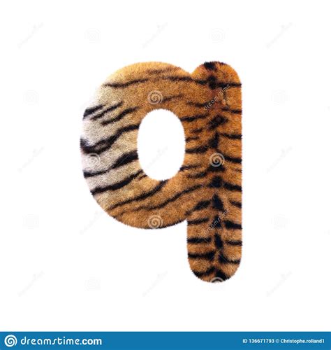 A Letra Q Do Tigre Fonte Felino Lowercase Da Pele D Apropriada