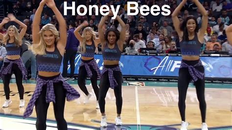 Honey Bees Charlotte Hornets Dancers Nba Dancers 472022 Dance