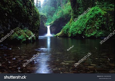 Punch Bowl Falls Columbia River Gorge Stock Photo 2190392595 Shutterstock