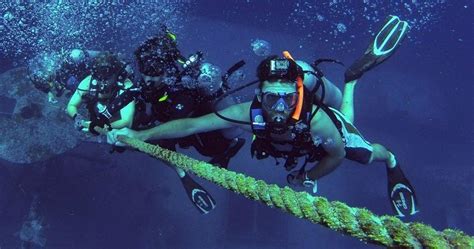 key west scuba diving — official padi® 5 star center‎