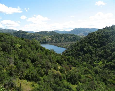 Descubre Todo Sobre Los Bosques Uno De Los Ecosistemas De La Tierra