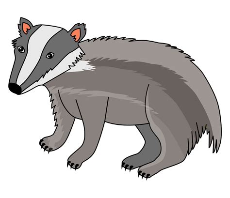 Animal Badger Clipart 10 Free Cliparts Download Images On Clipground 2024