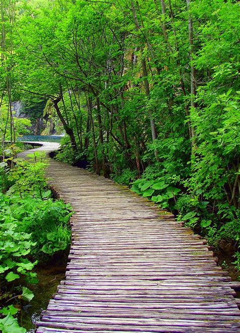 Winding Path Photograph By Ramona Johnston