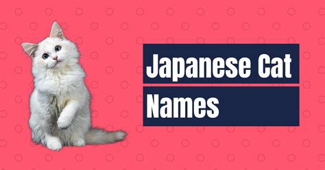 120 Japanese Cat Names Kawaii Kitty Names Names Cherry