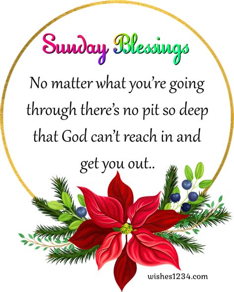 Pin On Happy Sunday Sunday Blessings Quotes And Images