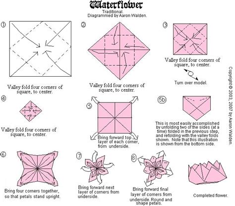 Origami Waterflower Folding Instructions Origami Instruction