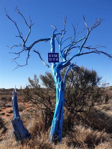 R U Ok Leonora Has A Blue Tree Goldfields Consumer