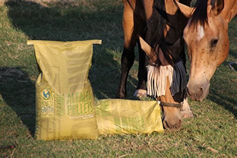 Organic Horse Feed Oasis Organics Alfalfa Pellets 50lbs Non Gmo