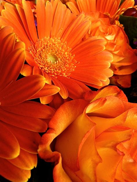 367 Best Color Orange Naranja Images On Pinterest Orange Color