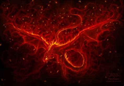 Fire Dragon By Amorphisss On Deviantart