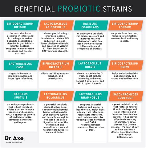 Everything You Need To Know About Probiotics Probiotics Probiotic