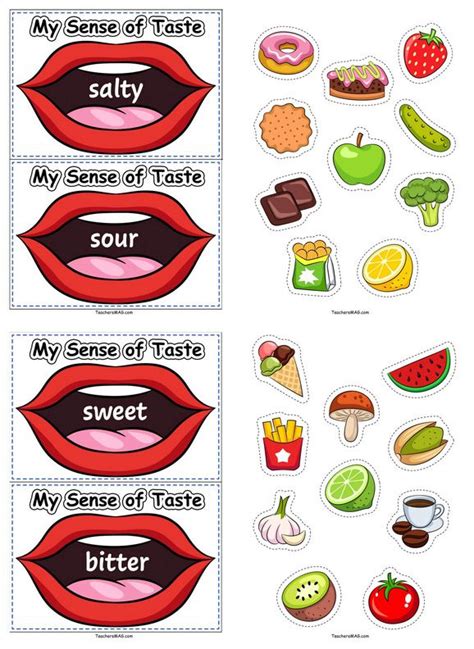 Free Printable Five Senses Tastes Worksheets
