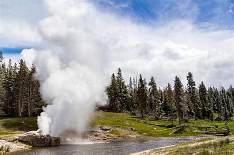 Riverside Geyser At Eruption Yellowstone National Park Stock Photo