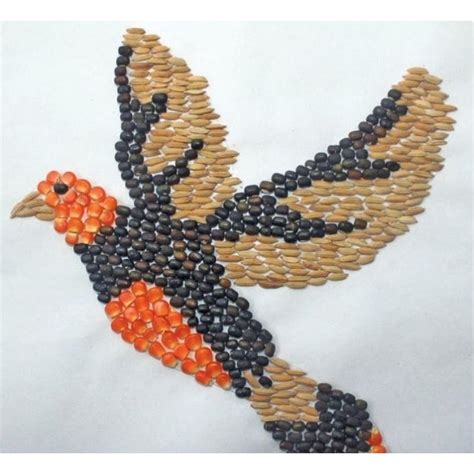 Jual Kolase Biji Bijian Burung Merpati Shopee Indonesia