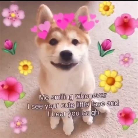 cute wholesome memes to send to your crush send this to your crush r wholesomememes wholesome