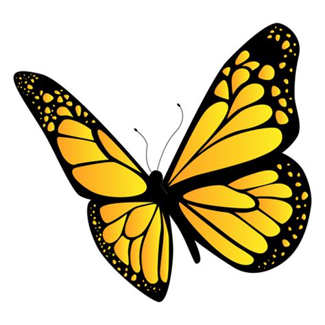 Mariposa Png Transparente