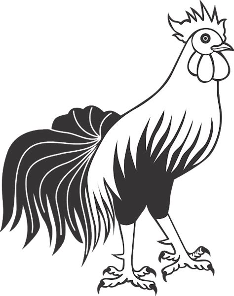 Muat turun himpunan contoh gambar mewarna ayam jantan yang hebat. Desain Ayam Hitam Putih