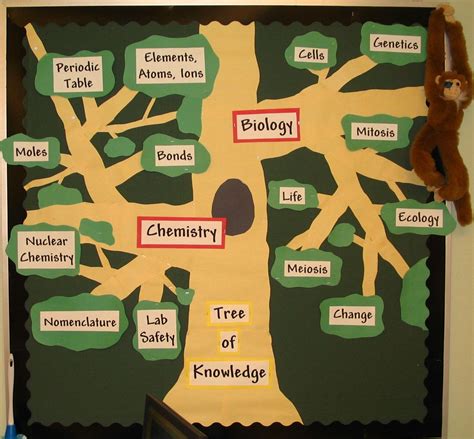 Tree Of Knowledge Biology And Chemistry Bulletin Board Science