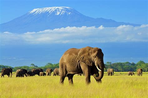 kenya in pictures 20 beautiful places to photograph planetware
