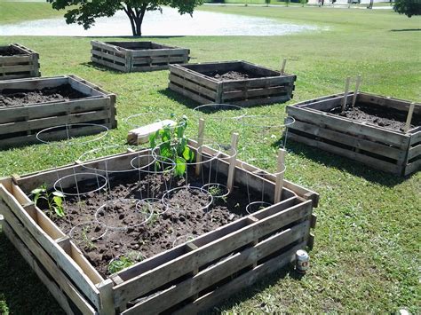 Raised Bed Garden Plots Made From Pallets 3 Ft X3 Ft And 18 In Deep