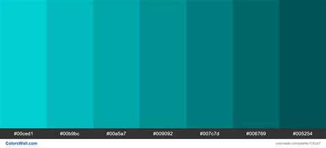 Dark Turquoise Shades Colors Palette Colorswall