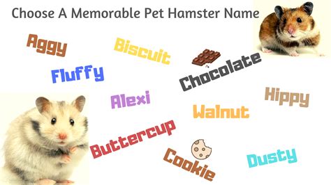 Cute Hamster Names