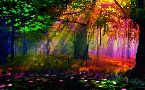 Download Colors Sunlight Fall Tree Earth Artistic Forest Hd Wallpaper