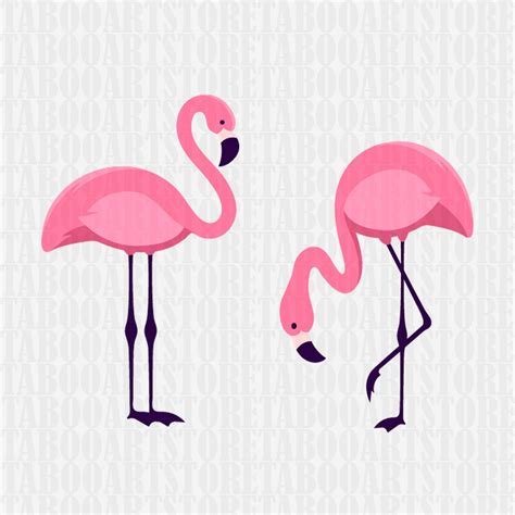 Svg Flamingo Cut File Summer Svg Silhouette Cut File Etsy