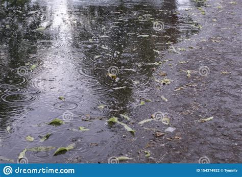 Leaves And Ripples On The Puddle At Rain In The Park Background
