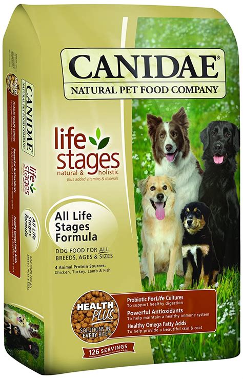Omega 3 and omega 6 fatty acids are great ingredients in cat food. Best Dog Food for Border Collies: The Best & Worst Options ...