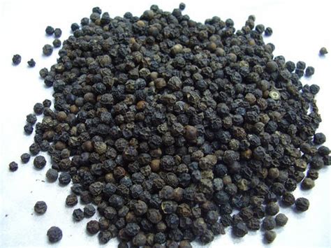 Black Pepper In Kenya Black Pepper Manufacturers And Suppliers In Kenya