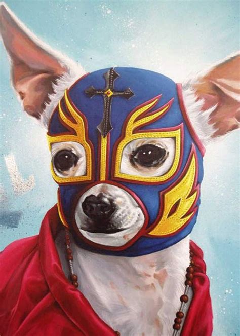 Funny Memes Pics Randomly Insane Nut Jobs Dachshund Mexican Wrestler Chihuahua Love