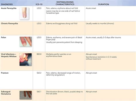 Fingertip Swelling Visual Diagnosis And Treatment In Pediatrics 3 Ed
