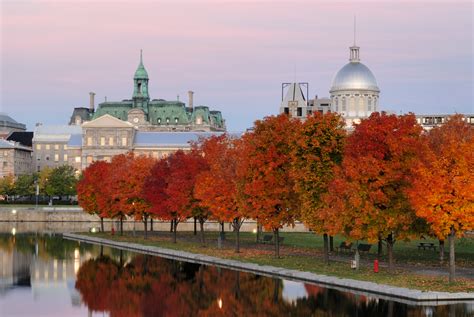 9 Reasons to Visit Montreal in the Fall - Photos - Condé Nast Traveler