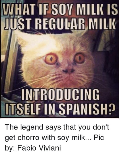 Memes about spain and related topics. WHAT IF SOY MILK IS USTREGULARMILK INTRODUCING ITSELF IN ...
