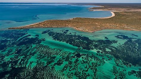 Shark Bay Australia Worldatlas