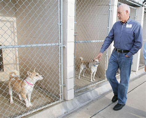 Campaign For 25m Animal Shelter Redo In Home Stretch Government