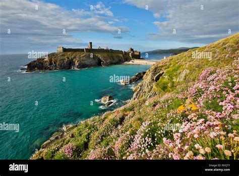 Peel Castle Isle Of Man Uk Stock Photo Alamy