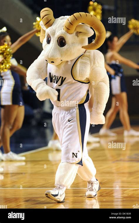 Naval Academy Goat Mascot Hi Res Stock Photography And Images Alamy