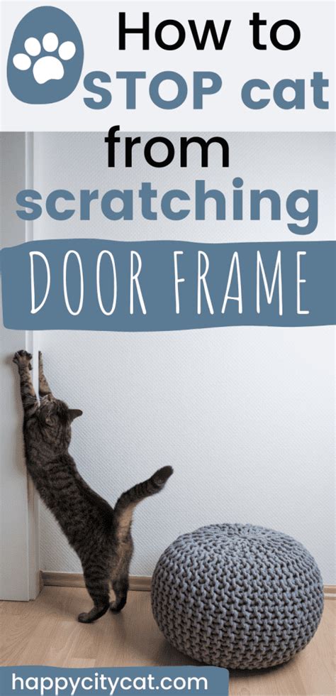 How To Keep Cat From Scratching Carpet Under Door
