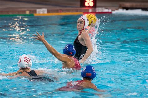 Stanfords Fischer Among 3 Water Polo Academic All Americans